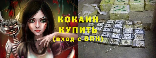 шишки Алексеевка