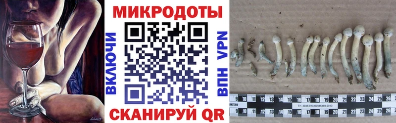 Псилоцибиновые грибы Magic Shrooms  цена   Исилькуль 